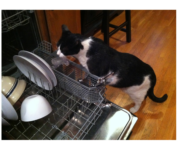 Felix at dishwasher-2