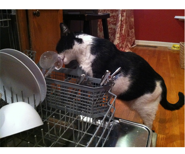 Felix at dishwasher-3
