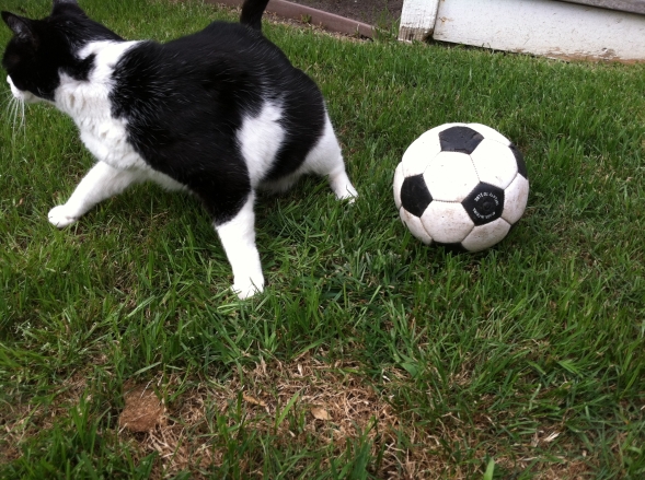 Fuddles w soccer ball 3
